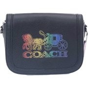 ボタニカルウエディング もっと値下げしました COACH バッグ（ブラック