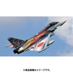 ドイツ空軍　タイフーンプラモデル完成品 714lnU8vk0L._UF350,350_QL50_.jpg