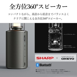 ヨドバシ.com - シャープ SHARP DL-FS01L-S [ポータブルスピーカー