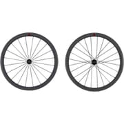 BLACK LYCAON NEO