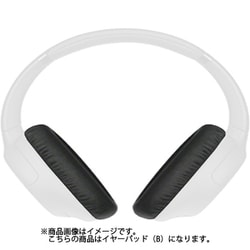 EARPAD （B） 1個 930100369