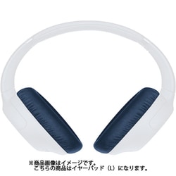 EARPAD （L） 1個 930100370