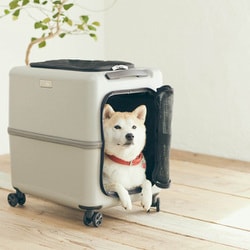 m*♡様 petico ペチコ ピンクベージュ×ホワイト L 難あり ペットキャリー ペットカート ティーアンドエス PET CARRY