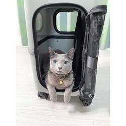 m*♡様 petico ペチコ ピンクベージュ×ホワイト L 難あり PET CARRY icoペチコL ピンクベージュ×ホワイト