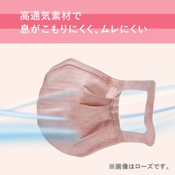 単品17個セット ハイパーブロックマスク エリカラ リッチグレーふつうサイズ30枚 大王製紙 代引不可 ハイパーブロックマスク エリカラ 大王製紙 立体型 30枚入 構造3層