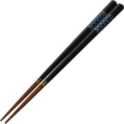 至高 貝七宝 23cm