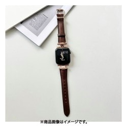 IQ-AW014B41-CN [Apple Watch 41/40/38mm リングベルト （014） Chestnut]