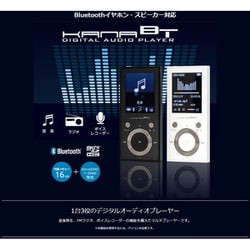 ヨドバシ.com - グリーンハウス GREEN HOUSE MP3プレーヤー KANA Bluetooth 16GB ブラック GH-KANABTS16-BK  通販【全品無料配達】