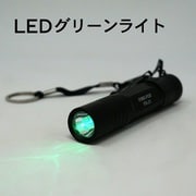 FIRE-FOX 防水 緑色LEDライト FX-21