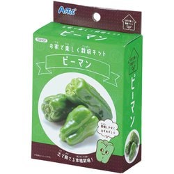 お家で楽しく栽培キット ピーマン 102937