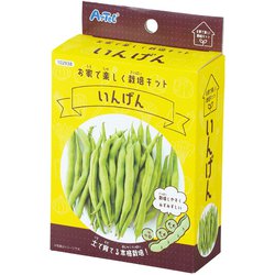 お家で楽しく栽培キット いんげん 102938