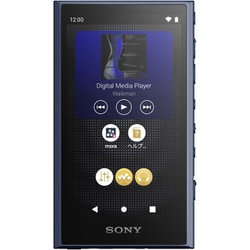 Amazon.co.jp: ソニー ウォークマン 32GB A300シリーズ NW-A306