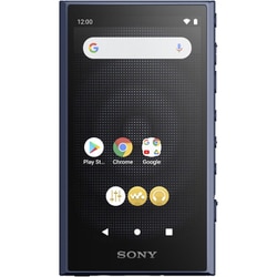ヨドバシ.com - ソニー SONY ポータブルオーディオプレーヤー