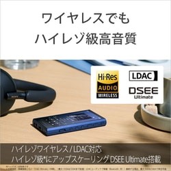 SONY NW-A306 32GB デジタルオーディオプレーヤー A300 SONY WALKMAN 32GB Hi-Res A300 Series NW-A306 Audio Player
