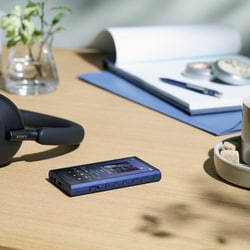 ヨドバシ.com - ソニー SONY ポータブルオーディオプレーヤー Walkman
