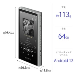 Y392 SONY ウォークマン NW-A300series NW-A300シリーズ | ポータブルオーディオプレーヤー WALKMAN