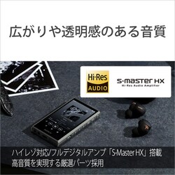 ヨドバシ.com - ソニー SONY ポータブルオーディオプレーヤー