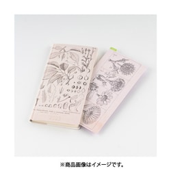 ヨドバシ.com - ほぼ日 牧野富太郎/ほぼ日の下敷き 牧野富太郎 weeks