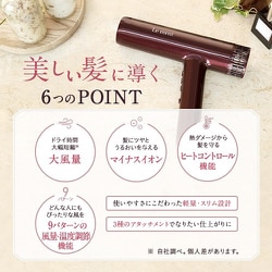 Le　ment イオンケアドライヤー ブラウン LM-ICD01 楽天市場】Le ment(ルメント) イオンケアドライヤー ヘア