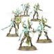 SYLVANETH： TREE-REVENANTS（シルヴァネス：ツリー・レヴェナント） [プラモデル]