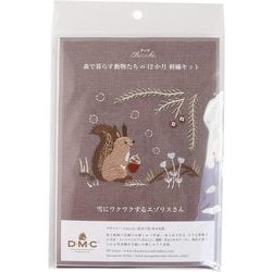 JPT63 [CHICCHI 森で暮らす動物たちの12か月 図案付き刺繍キット〈雪にワクワクするエゾリスさん〉]