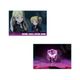 ワールドトリガー アクリルブロック 加古望＆黒江双葉 [キャラクターグッズ]