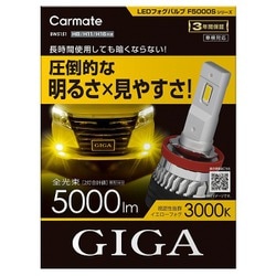 BW5151 [GIGA LEDフォグバルブ F5000S]