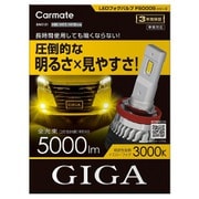 BW5151 [GIGA LEDフォグバルブ F5000S]