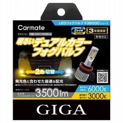 BW5161 [GIGA LEDフォグバルブ F3500D]