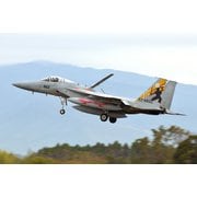 AC-75 1/72 航空自衛隊 F-15J イーグル 第305飛行隊 新田原基地エアフェスタ2022 記念塗装機 [組立式プラスチックモデル]