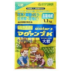 マグァンプK 大粒 1.1kg