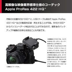 ヨドバシ.com - パナソニック Panasonic DC-S5M2XW [LUMIX S5IIX