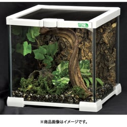 温室・飼育ケース syochan 三晃商会 SANKO CLEAN CASE クリーンケース（L）（375×220×280mm