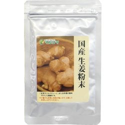 国産生姜粉末 20g