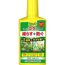テトラ コケブロック 250ml