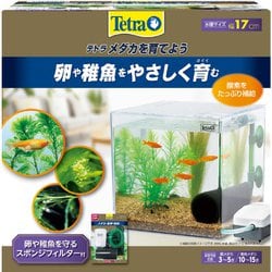 テトラ メダカを育てよう