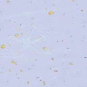 和紙 雲龍紙金銀振 藤 2107606