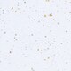 和紙 雲龍紙金銀振 白 2107601