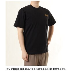 国内正規 新品未使用タグ付 ノースフェイス ワンポイントグラフィックティー NT32334 ミネラルグレー Lサイズ レターパックプラス TH426EU11682_4_l.jpg