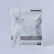 彩(SAI)立体マスク やや大きめサイズ ホワイト×グレー 10枚