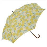 長傘 婦人用 晴雨兼用 アップルスマートジャンプ 60cm ジャンプ式 UVカット加工 グラスファイバー骨(親骨) グリーン 1615GR