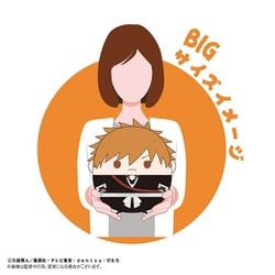 BLEACH ふわコロりん BIG 黒崎一護 TVアニメ『BLEACH 千年血戦篇』 ふわコロりんBIG A 黒崎一護