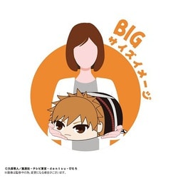 BLEACH ぽてコロマスコット BIG 黒崎一護 TVアニメ『BLEACH 千年血戦篇』ぽてコロマスコットBIG A 黒崎一