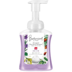 ボタニカル by ミューズ 泡ハンドソープ スミレ＆グリーンイランイランの香り 本体 250ml [ハンドソープ]