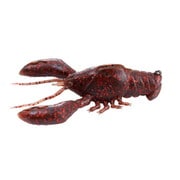 SLEEPER CRAW 3inch 5/8oz. ウチダクロー