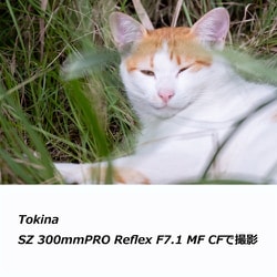 ヨドバシ.com - トキナー Tokina Tokina SZ 300mm PRO Reflex F7.1 MF