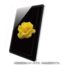 iPad 10.9インチ（A16/第10世代）用防指紋フィルム 高光沢タイプ BSIPD22109FG
