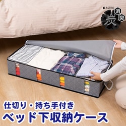 活性炭 ベッド下保存ケース 171-44