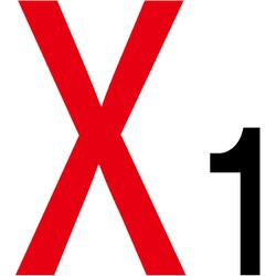 6300000155 [通り芯標識300角 X1]