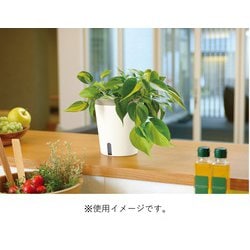 リッチェル ミエルノPlus ポット13型N ホワイト 1箱（80個） [▲][TP] リッチェル ミエルノPlus ポット13型N ホワイト 1箱（80個